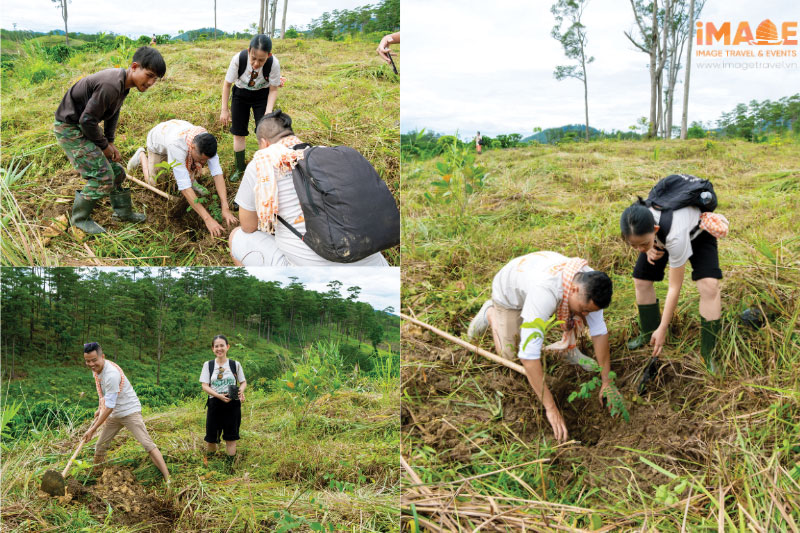 5-mo-hinh-tour-thiet-ke-rieng-cho-doanh-nghiep