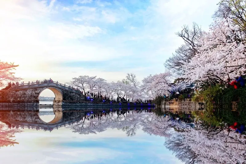 Tour-ngam-hoa-anh-dao-trung-quoc-5n4d-6