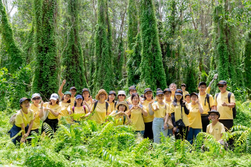 tour trồng cây Bình Châu - Phước Bửu