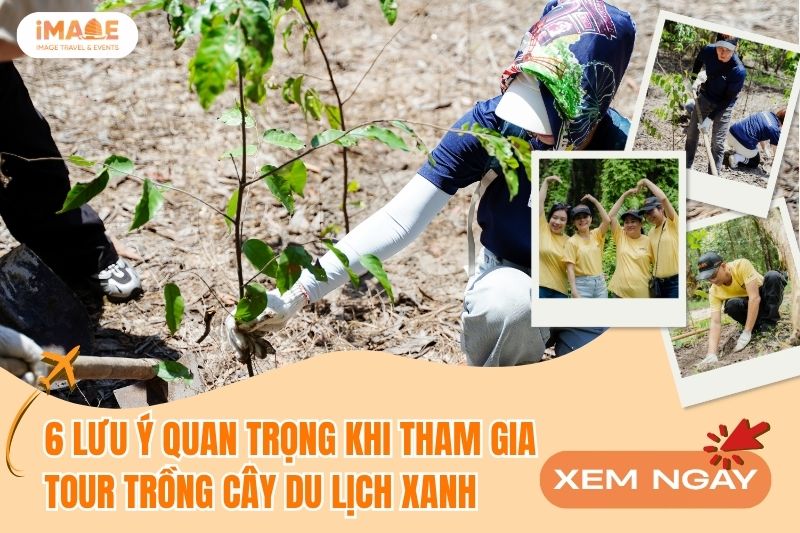 Lưu ý Tour Trồng Cây
