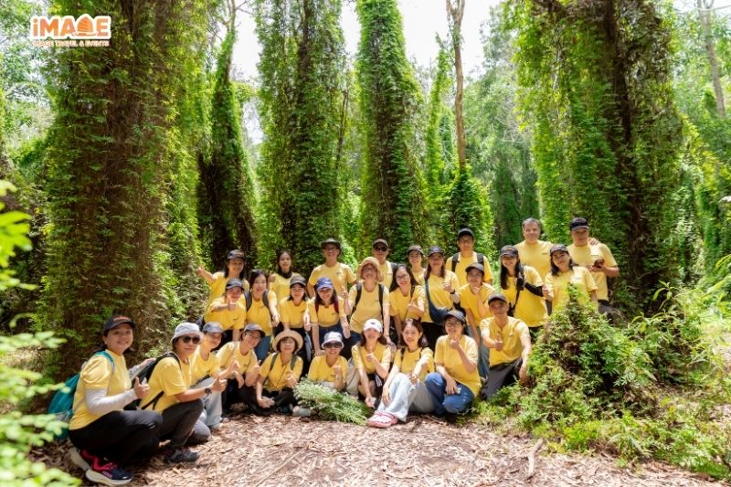 Lưu ý tận hưởng Tour Trồng Cây