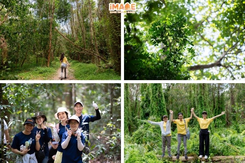 Cảnh đẹp trong Tour Trồng Cây