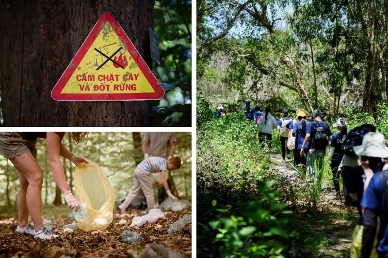 Lưu ý bảo vệ môi trường khi đi Tour Trồng Cây