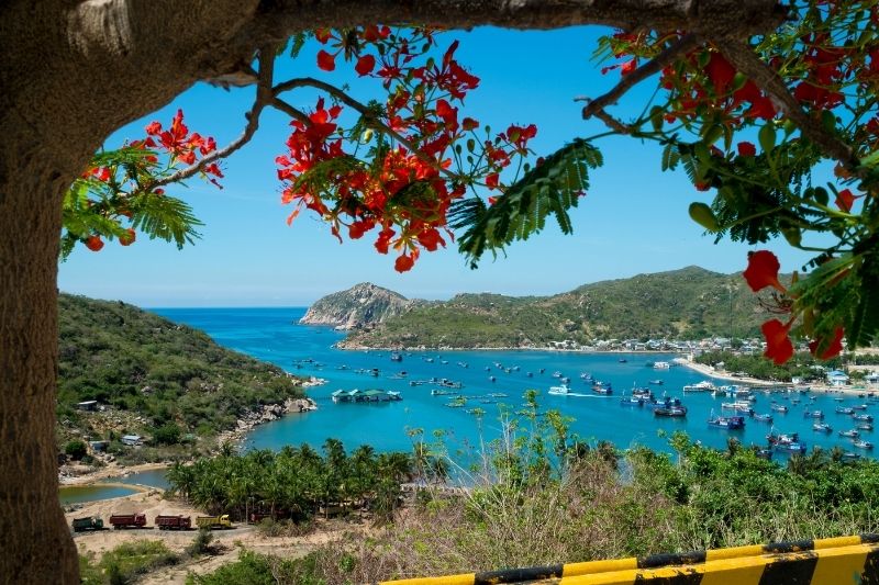Khám Phá Vĩnh Hy - Đèo Cây Cóc Viewpoint