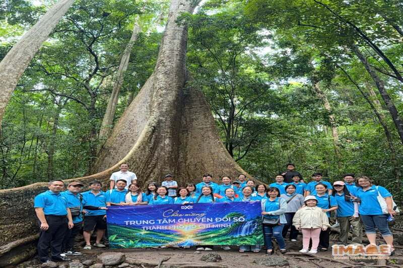 Vi Sao Team Building Sinh Ton Can Mot Don Vi To Chuc Chuyen Nghiep